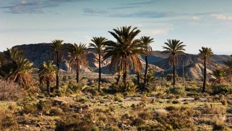 Europe’s only desert where more than 300 movies have been filmed has direct UK flights
