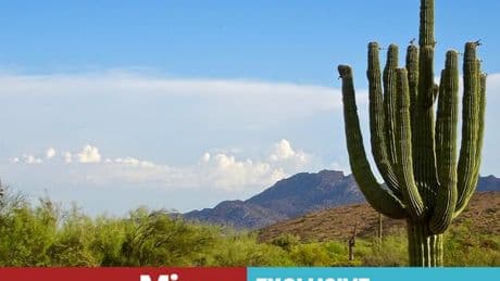 ‘I went to Arizona expecting a week of wellness but this activity made my heart race’