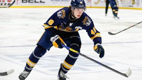 Islanders’ information mission at NHL scouting combine has already begun