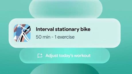 Fitbit Users Are Getting A Major AI Overhaul