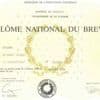 Quiz. Réussiriez-vous le brevet des collèges ?