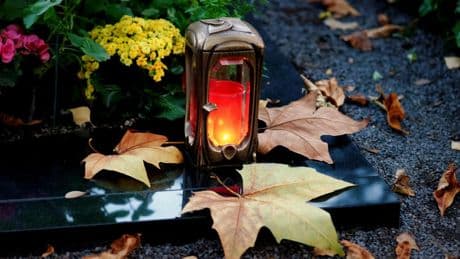 Grabbepflanzung: Pflanzen, Ideen & Tipps | Frühling bis Winter