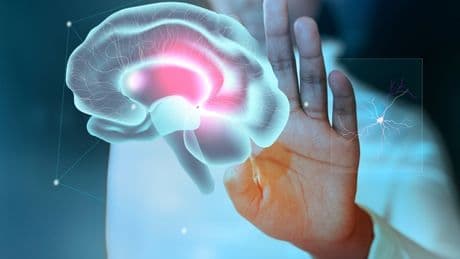 Alzheimer o semplice perdita della memoria? L'esperto spiega come distinguerli e quali sono i campanelli d'allarme