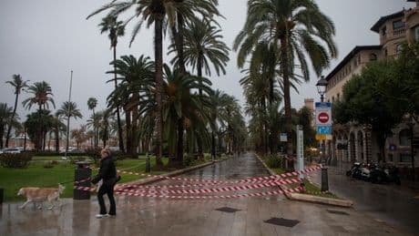 Warnstufe Orange: Hagel und überschwemmte Straßen – Mallorca von schweren Unwettern getroffen