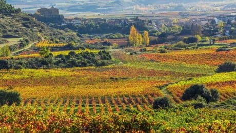 Spain's 4 hidden gems far from the crowds where tourists are still welcomed