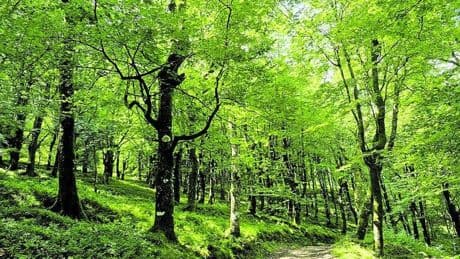 Una ruta hecha de tranquilidad