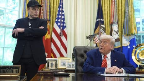 X for the win? Users were glued to the Elon Musk v. President Trump blowup
