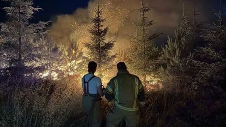 Langdale Moor fire: Major incident declared as fire surges near RAF Fylingdales