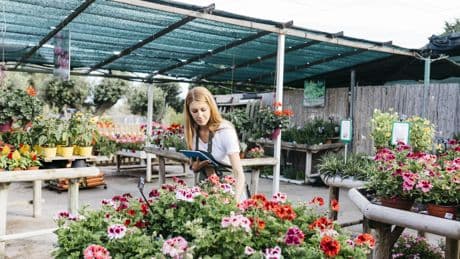 Scottish garden centre chain reveals results and flags restaurant investments