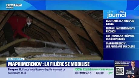 MaPrimeRénov': la filière se mobilise et les professionnels s'organisent