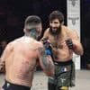 INFO OUEST-FRANCE. MMA : la PFL à Nantes le 26 septembre avec Abdoul Abdouraguimov en tête d’affiche