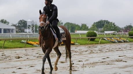 Another Derby winner not in the Preakness reignites debate about Triple Crown changes