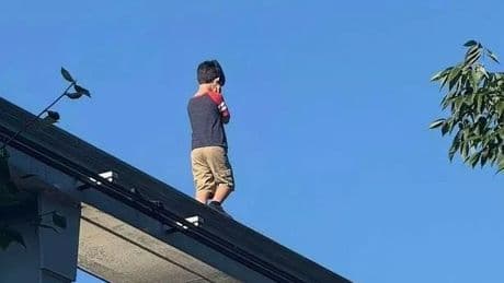 Terrifying moment lost child walks along monorail track at Hersheypark