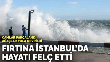 Camlar parçalandı, ağaçlar yola devrildi... Fırtına İstanbul’da hayatı felç etti