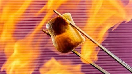 Mit der Maillard-Reaktion zu leckeren Röstaromen: Bräunen für Anfänger
