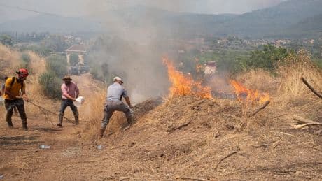Europe heatwave: Spain set for hottest June on record as 50,000 flee Turkey wildfires