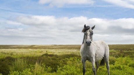 Stunning UK walk feels like you're 'above clouds' and is short drive from major city