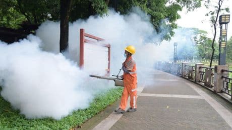 New Illness Spreading In China: What To Know About The Chikungunya Virus