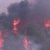Incendies : le Portugal et l’Espagne ravagés par les flammes