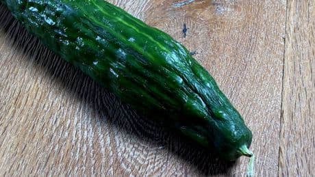 Probieren Sie es aus: Diese 20‑Minuten-Methode macht schlappe Gurken wieder knackig