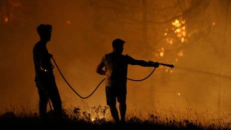 Türkei: Waldbrände in Region Bursa – drei Tote bei Löscharbeiten