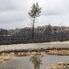 Incendies en Espagne et au Portugal : "Ce sont vraiment des surfaces exceptionnelles", souligne le porte-parole de la Sécurité civile
