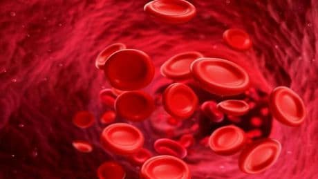 HGB Nedir? Hemoglobin Yüksekliği ve Düşüklüğü Ne Anlama Gelir?