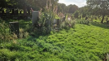 Fury over 'overgrown' Glasgow cemetery where woman's loved ones are buried