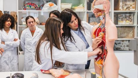 Formation des médecins : jusqu’où desserrer la sélection des étudiants ?