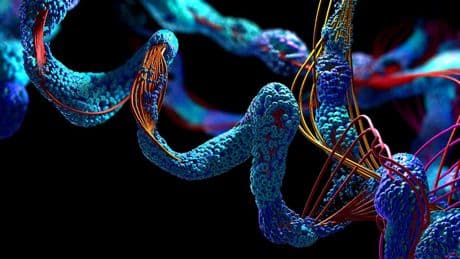Herramientas bioinformáticas más fiables para el estudio de proteínas