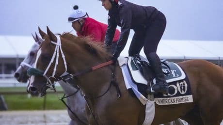 2025 Preakness Stakes predictions: Exotics picks, odds at Pimlico