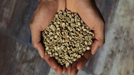 Illy Arabica Selection: una vuelta al mundo en siete cafés de origen