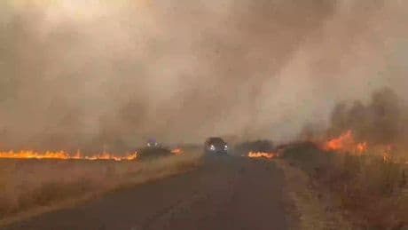 Los incendios arrasan 100.000 hectáreas en lo que va de año: la situación es "grave" en Ourense, León y Zamora
