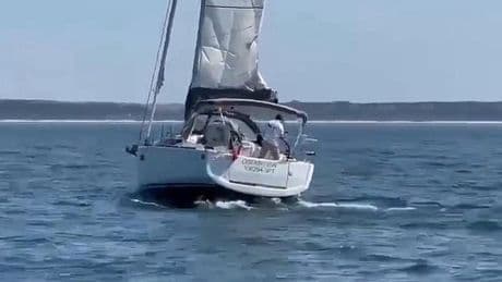 Astonishing moment pod of orcas SINKS tourist boat: Footage shows the killer whales slam into the vessel off Portugal before passing vessel rescues all on board