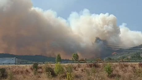 Bursa’da orman yangını