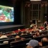 South London film festival at risk, says founder