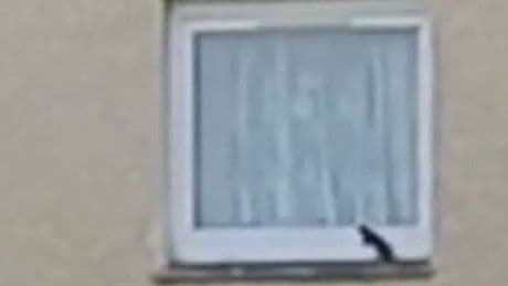 'Shock' moment rat filmed climbing in upstairs window of Scots home