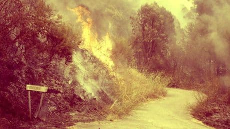 El fuego que devora España también consume su riqueza