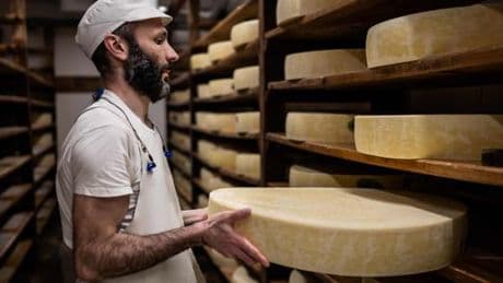 #TouchePasAuComté : au-delà de la polémique, quel est l’impact environnemental de ce fromage ?