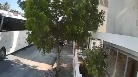 Büyük tepkiye neden oldu! Aydın'da otobüs şoförü sokak köpeğini ezdi