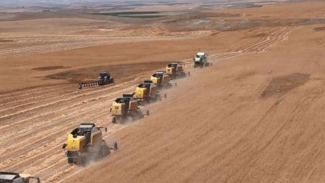 Türkiye'nin tahıl ambarlarından Polatlı'da hasat başladı