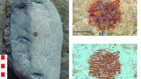 Descubierta en Segovia la huella dactilar neandertal más antigua de Europa, de hace 43.000 años
