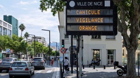 La canicule de début juillet a provoqué la mort de près de 500 personnes en France