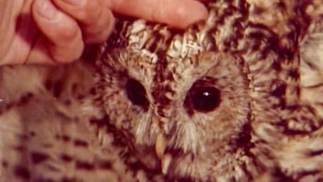 The BBC’s coolest asset Adam Curtis on money, Taylor Swift and his eerie BBC series Shifty