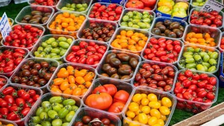 Richtig lecker und gesund: Die besten Tomatensorten