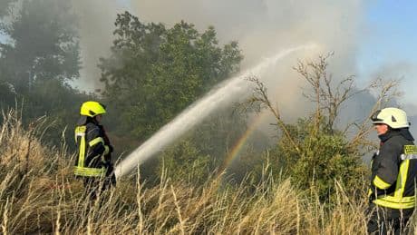 Notfall: Großbrand an der Bahnstrecke bei Calbe unter Kontrolle