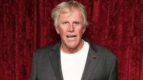 Lethal Weapon star Gary Busey, 81, pleads guilty to groping a woman at convention