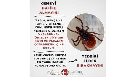 Eskişehir Valiliği'nden kene uyarısı
