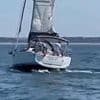 Astonishing moment pod of orcas SINKS tourist boat: Footage shows the killer whales slam into the vessel off Portugal before passing vessel rescues all on board
