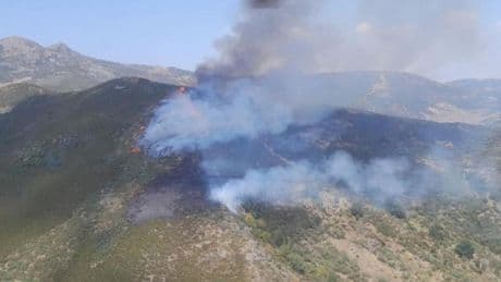 La ola de 7 incendios en León obliga a desplegar a la UME en focos críticos